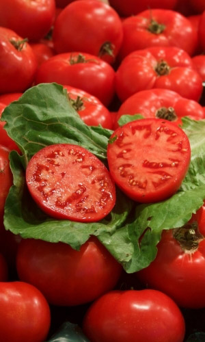 Томат КРАЙНИЙ СЕВЕР