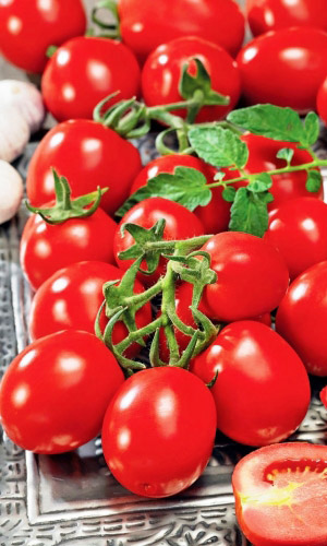 Томат МАРЬЮШКА