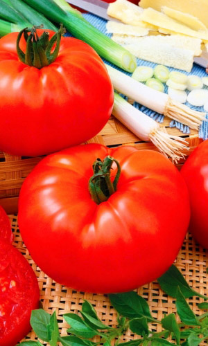 Томат МАСТЕР ГАРДЕН F1 &mdash; Лауреат фермерских выставок! Крупноплодный! Неприхотливый!