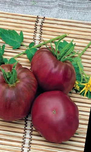 Томат НЕГРИТЁНОК