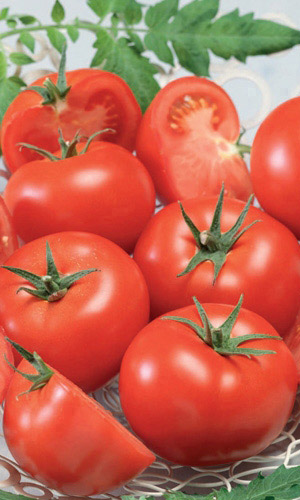 Томат НЕПАСЫНКУЮЩИЙСЯ КРАСНЫЙ