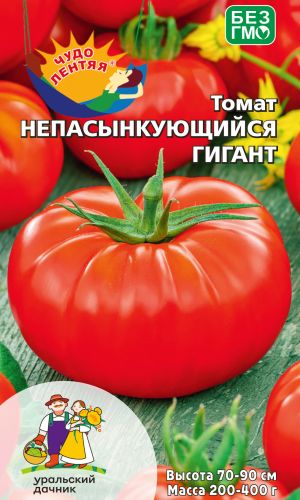 Томат НЕПАСЫНКУЮЩИЙСЯ ГИГАНТ
