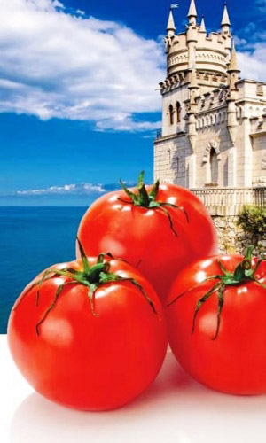 Томат НОВЫЙ ПРИНЦ &mdash; До 12 кг вкуснейших плодов с каждого растения! Крупноплодный! Не растрескивается!