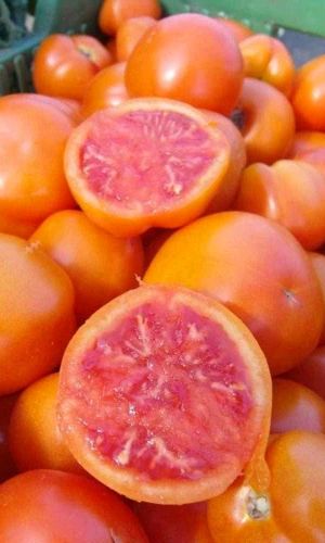 Томат ОРАНЖЕВЫЙ ЗАКАТ