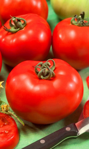 Томат ПРЕЗИДЕНТ III F1