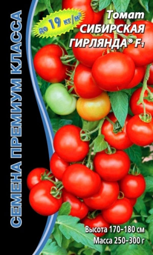Томат СИБИРСКАЯ ГИРЛЯНДА F1
