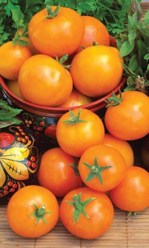 Томат ВИКИНГ