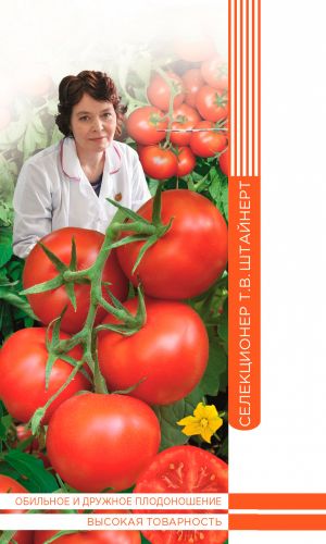 Томат ЗУРБАГАН F1 коллекция Татьяны Штайнерт — гибрид мечты любого огородника! Снизу доверху увешан плотными кистями обворожительных по вкусу плодов!