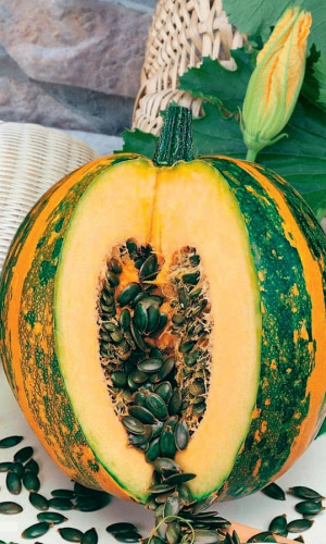 Тыква АБРИКОСОВАЯ