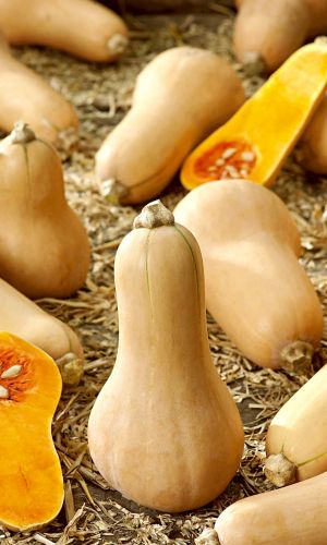 Тыква МАТИЛЬДА