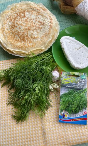 Укроп РУСИЧ &mdash; Идеален для заморозки! Кустовой! Холодостойкий! Для многократной срезки!