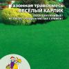 Газон ВЕСЁЛЫЙ КАРЛИК карликовый 20 г