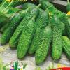 Огурец ДОЛЛАР F1