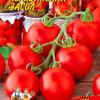 Томат ЧЕЛЯБИНСКИЙ ЗАСОЛ